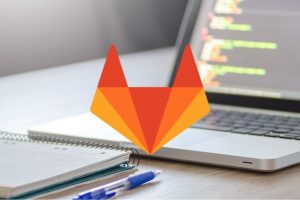 The Gitlab and Tortoise Git Crash Course - Learn To Code
