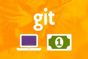 Git a Web Developer Job: Mastering the Modern Workflow Course Site Learn Git, GitHub, Node.js, NPM, Object-oriented JavaScript, ES6, webpack, Netlify, BEM and Job Interview Tips