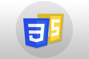 CSS & JavaScript - Certification Course for Beginners Course Catalog Learn how to Add Dynamic Client-Side Functions to your Web Pages using CSS & JavaScript