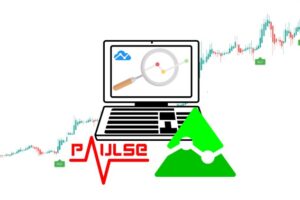 Tradingview Pine Script Strategies: The Complete Guide Course Catalog Become A Better Trader By Backtesting And Fowardtesting Indicators & Strategies In Tradingview With Pine Script