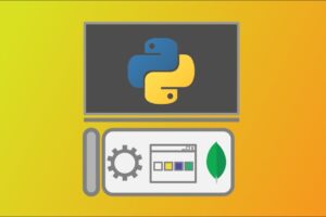 Full Stack Programming for Complete Beginners in Python