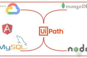 RPA# Advanced UiPath skills with Orchestrator,Build 3 Robots Advanced Uipath for RPA#Interact with databases such as MySQL and MongoDB, as well as NodeJs, Angular and spreadsheets such as Excel and PDF, using the Orchestrator platform.