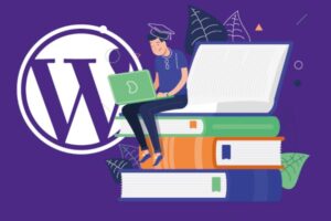 Become a WordPress Developer: Build Premium Themes & Plugins