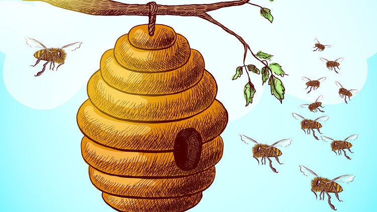MATLAB Basics & Artificial bee colony Optimization Algorithm