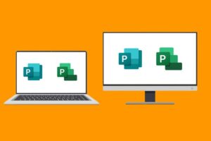All in One: Microsoft Project and Publisher 2016