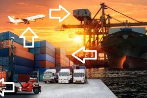 International Shipping and Transport - Logistics Management