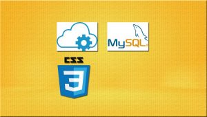Secure API development using PHP, POSTMAN, and MySQL