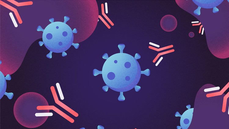 Biotechnology: Antibodies & their role in Therapeutics